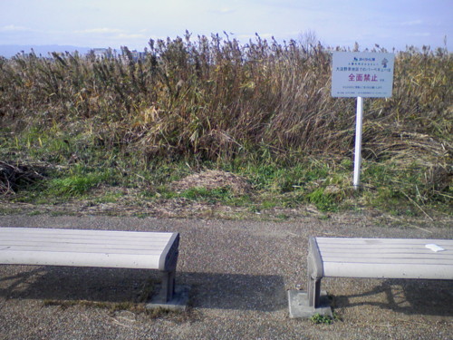 f:id:ponapalt:20091130210936j:image f:id:ponapalt:20091130210936j:image