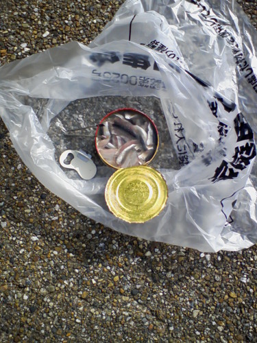 f:id:ponapalt:20091130210938j:image f:id:ponapalt:20091130210938j:image
