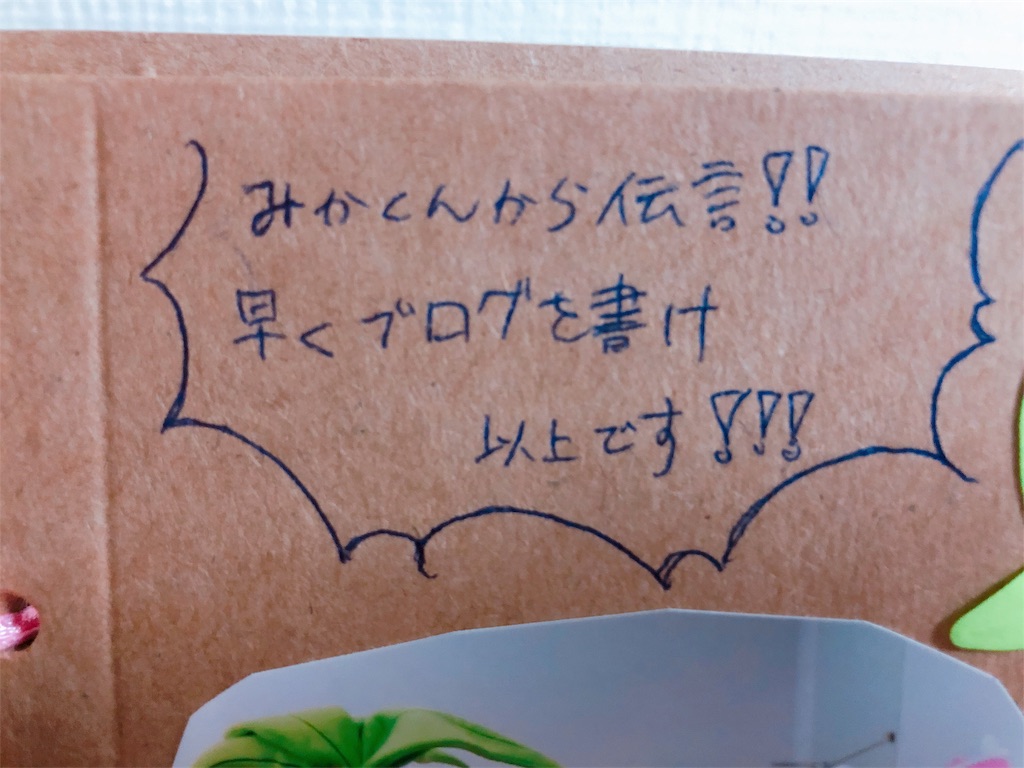 f:id:ponapoke:20190307220909j:image f:id:ponapoke:20190307220909j:image