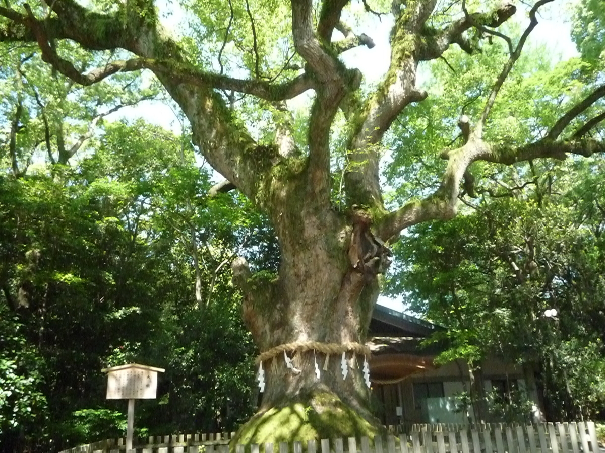 f:id:ponchoponchoponcho:20200927220152j:plain f:id:ponchoponchoponcho:20200927220152j:plain