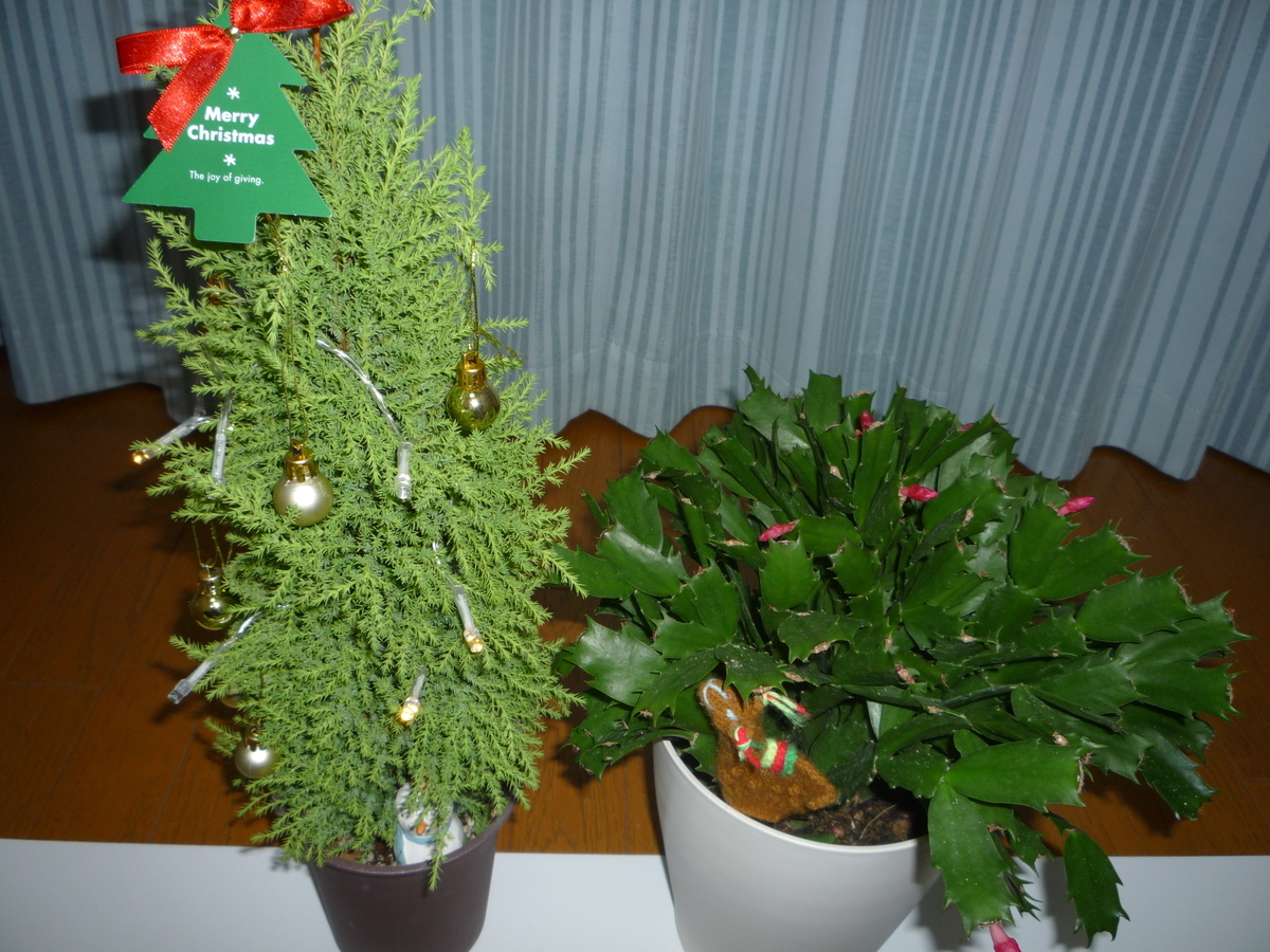 f:id:ponchoponchoponcho:20201220231031j:plain