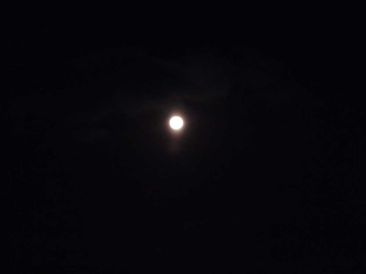 f:id:ponchoponchoponcho:20210130204253j:plain