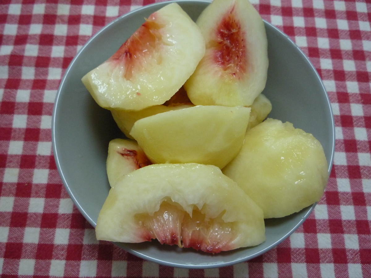 f:id:ponchoponchoponcho:20210911220947j:plain