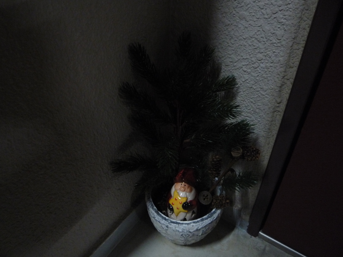 f:id:ponchoponchoponcho:20211219181003j:plain