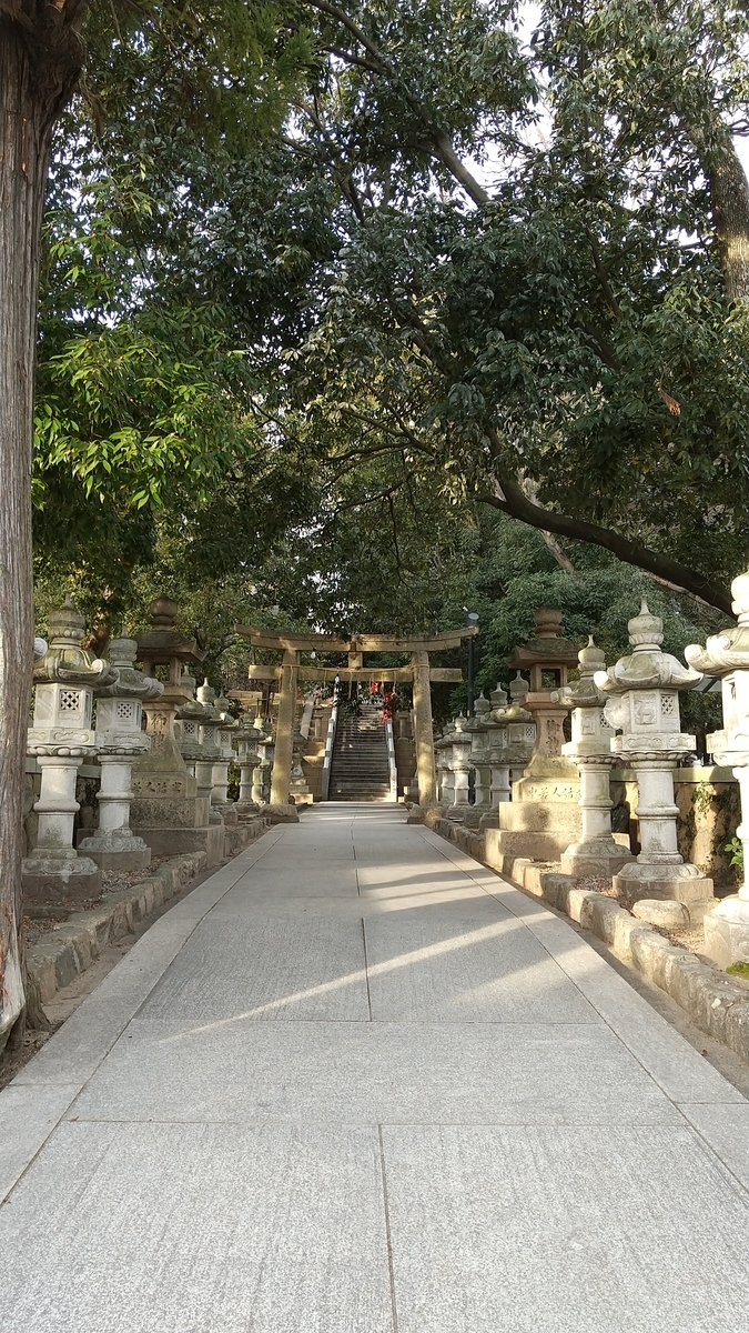 f:id:ponchoponchoponcho:20220115101444j:plain