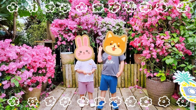 f:id:ponco2mm:20220514174028j:image