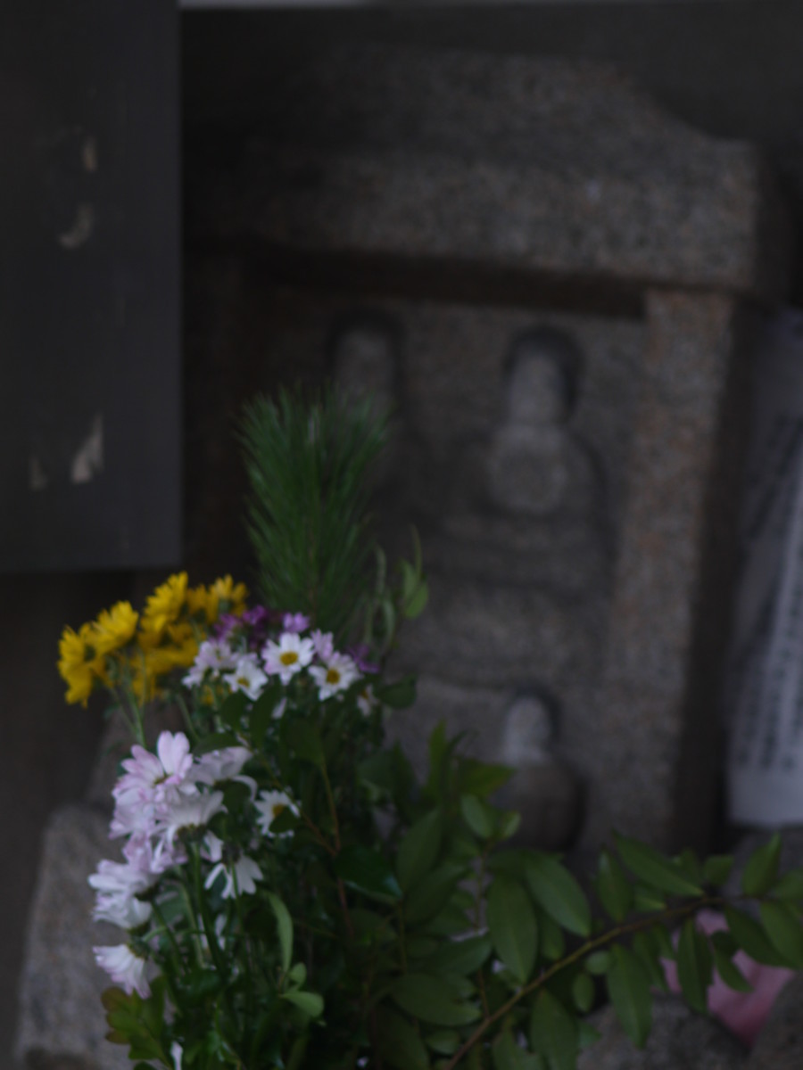 f:id:pondelion232:20200210124020j:plain