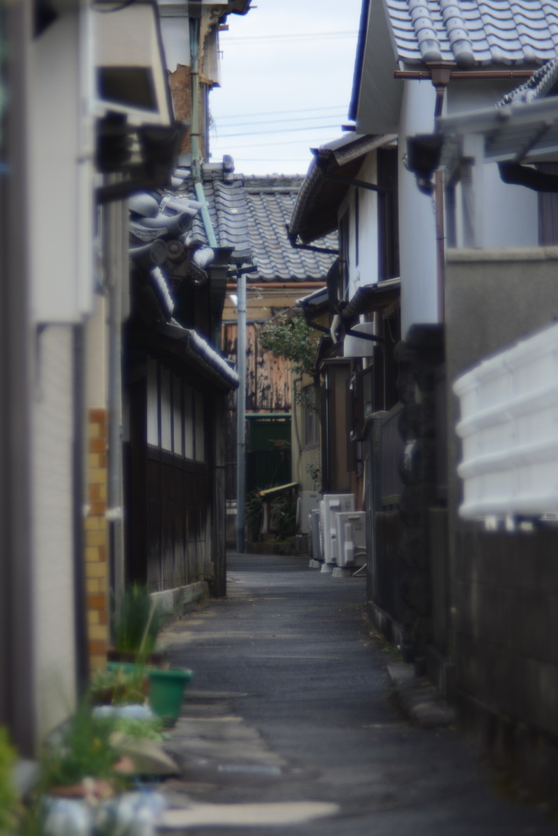 f:id:pondelion232:20200220124207j:plain