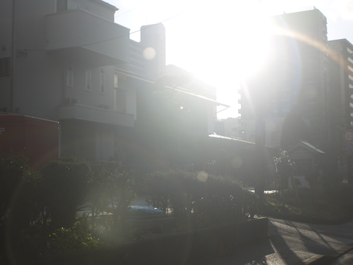 f:id:pondelion232:20200305165208j:plain