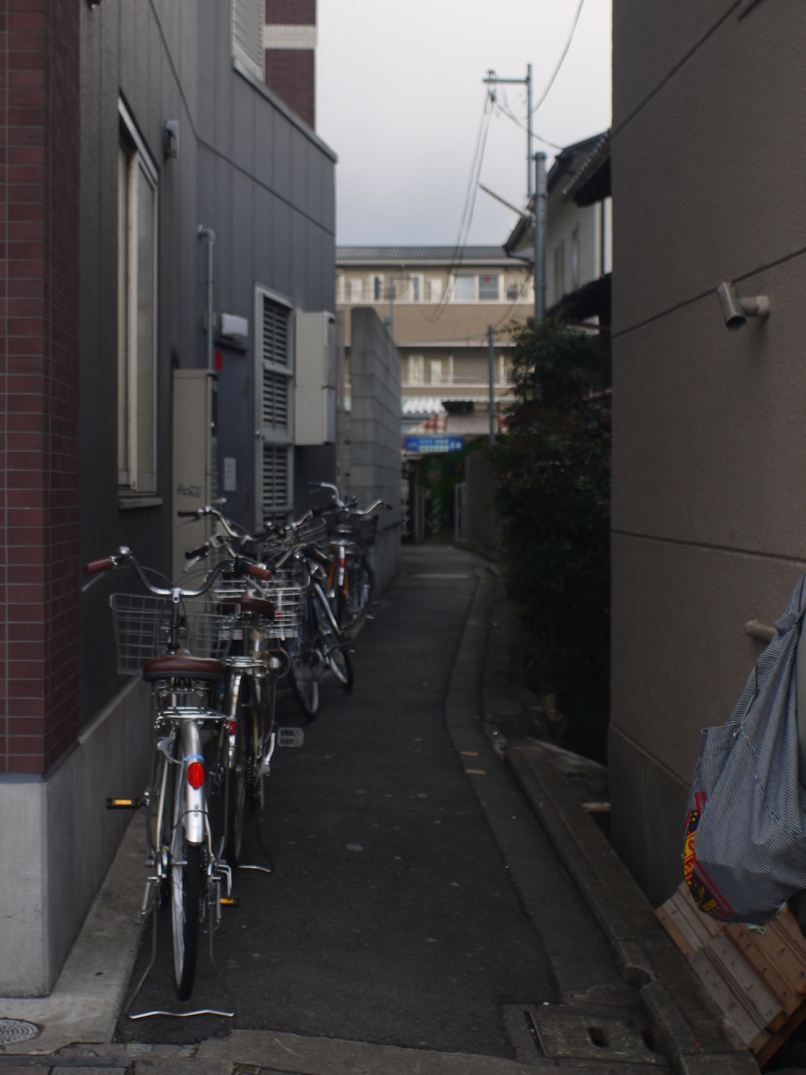 f:id:pondelion232:20200305171214j:plain