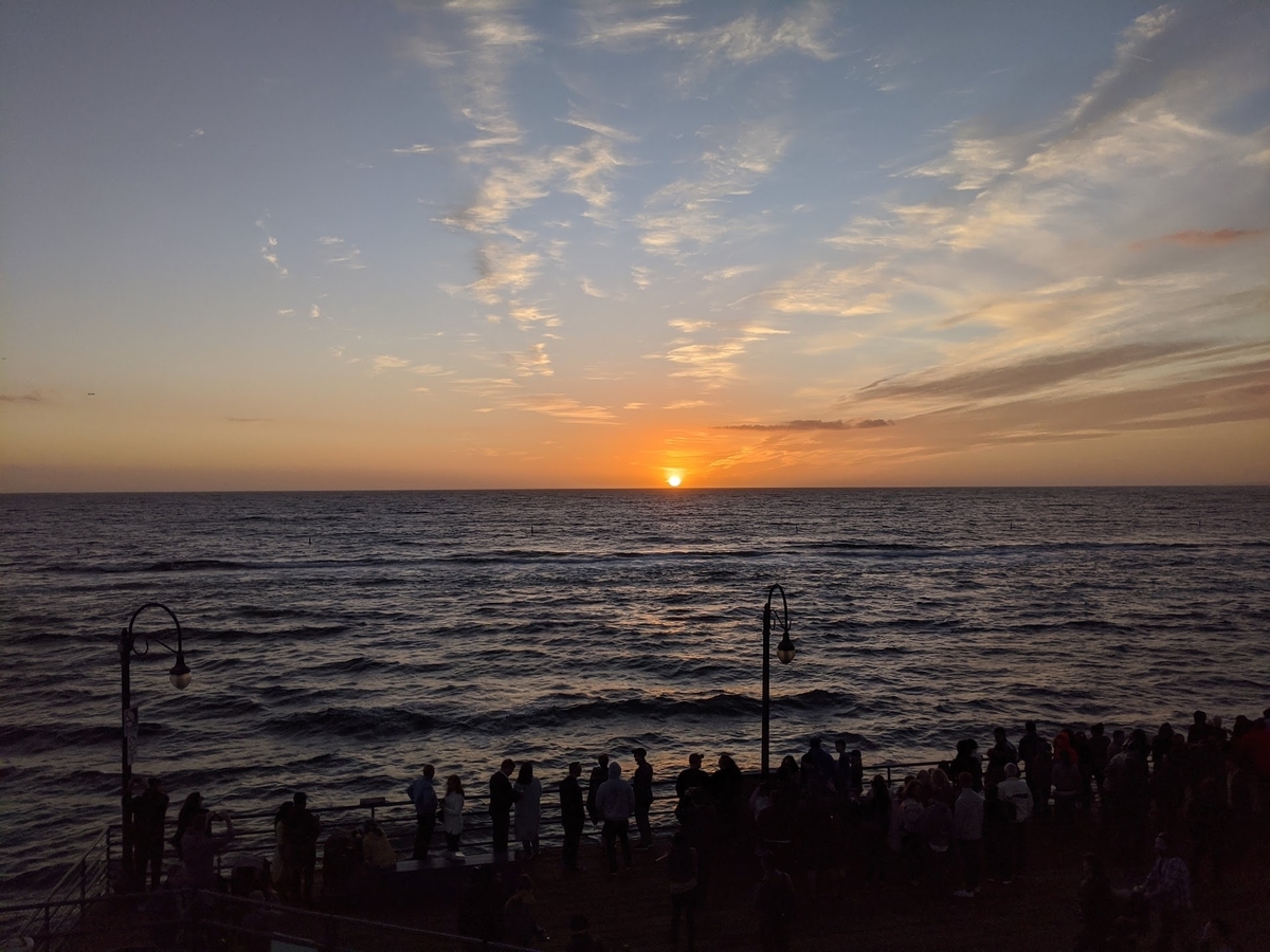 f:id:ponga-wasabi:20191222183408j:plain