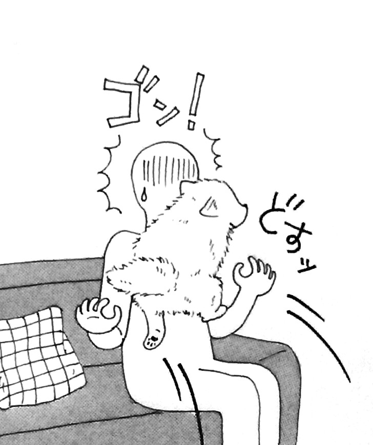 f:id:pongirl:20180622222135j:plain f:id:pongirl:20180622222135j:plain