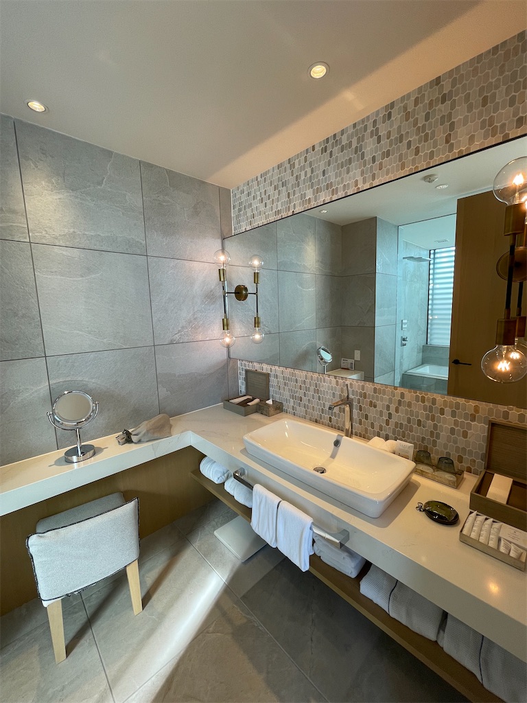 f:id:ponhiroki:20231125222356j:image