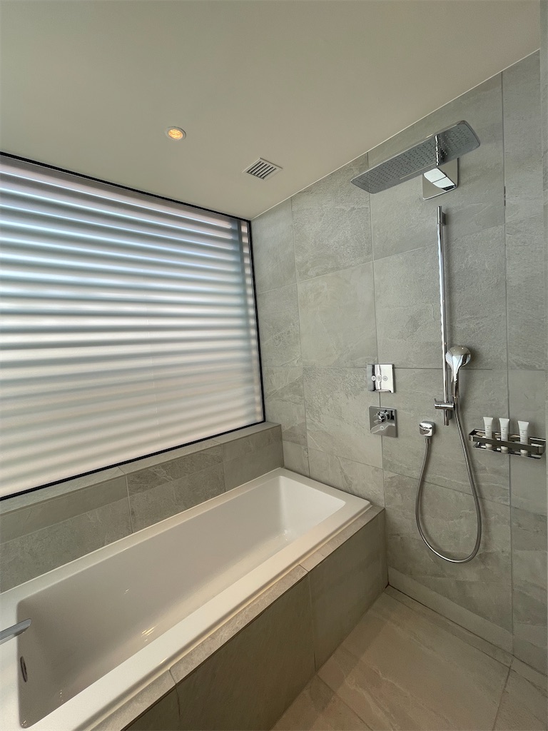 f:id:ponhiroki:20231125222408j:image