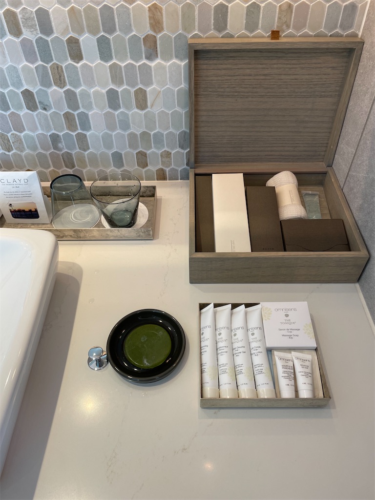 f:id:ponhiroki:20231126184416j:image