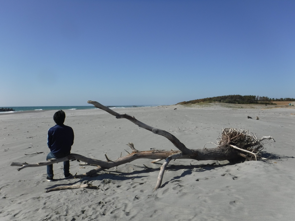 f:id:ponkamo:20190114064407j:plain