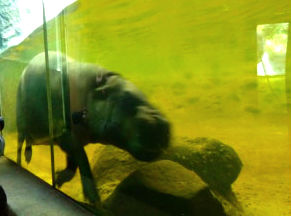 f:id:ponkamo:20190709205525j:plain