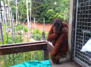 f:id:ponkamo:20190709205544j:plain