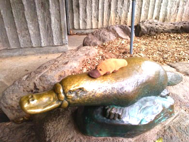 f:id:ponkamo:20190709205944j:plain