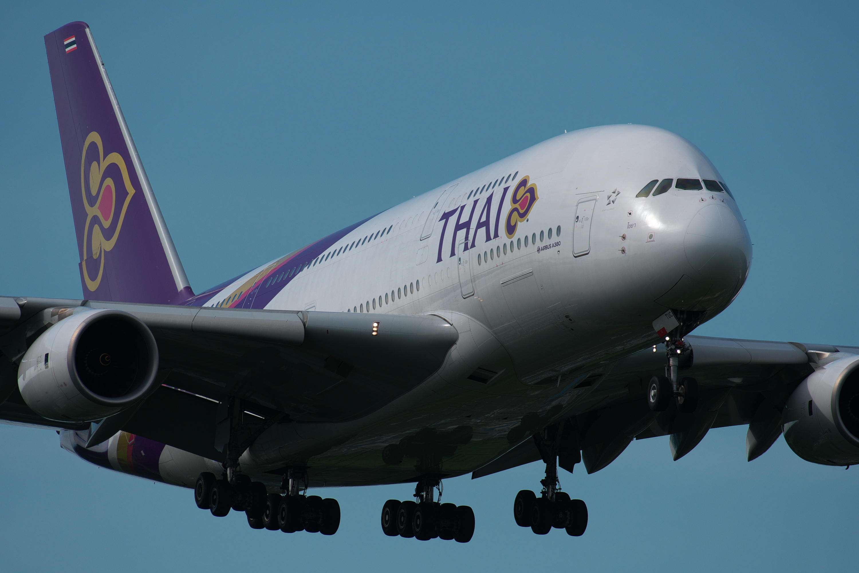 f:id:ponkichi787:20160820165004j:plain f:id:ponkichi787:20160820165004j:plain