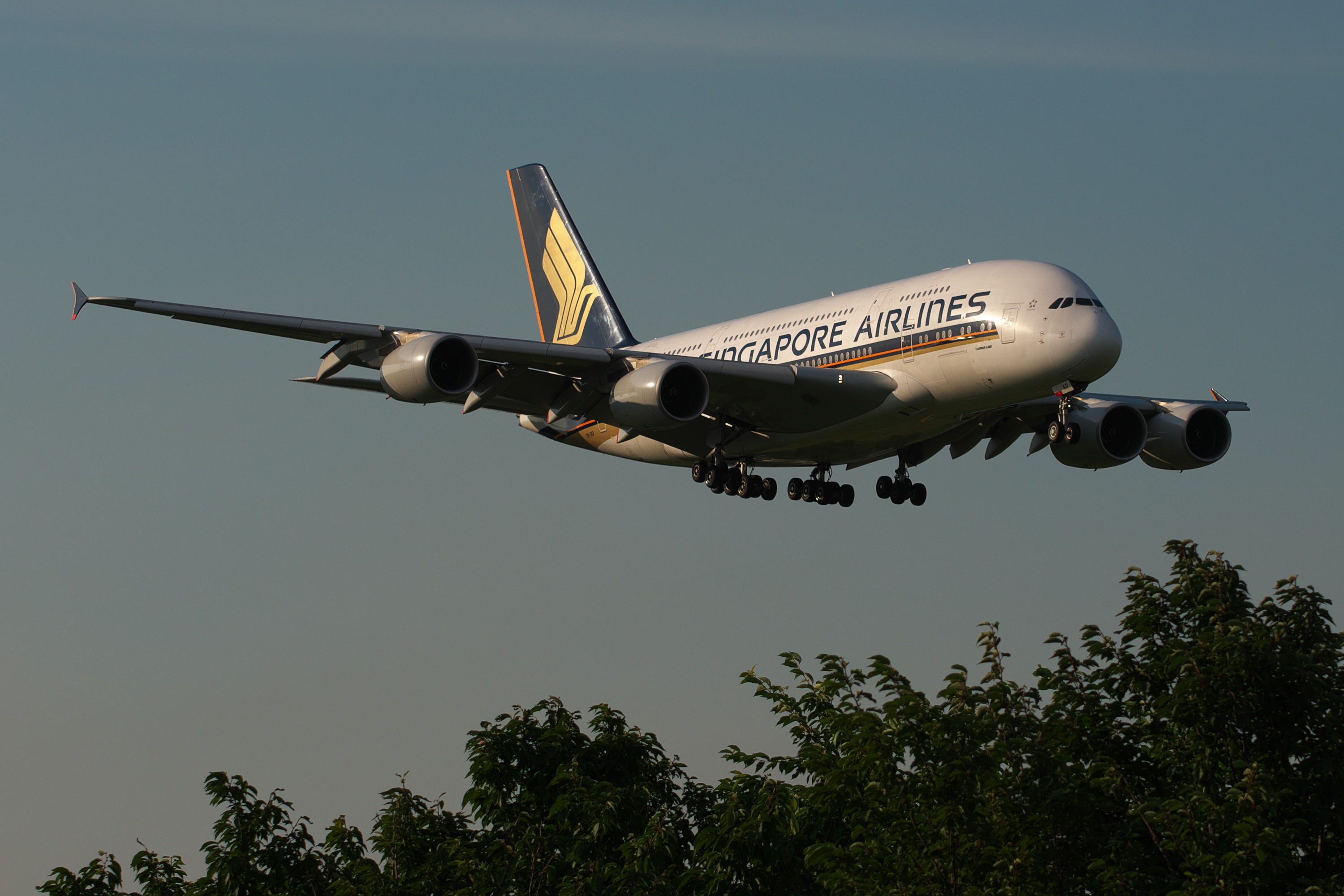 f:id:ponkichi787:20160820165005j:plain f:id:ponkichi787:20160820165005j:plain