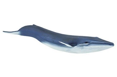 f:id:ponkichi787:20191209090436j:plain f:id:ponkichi787:20191209090436j:plain