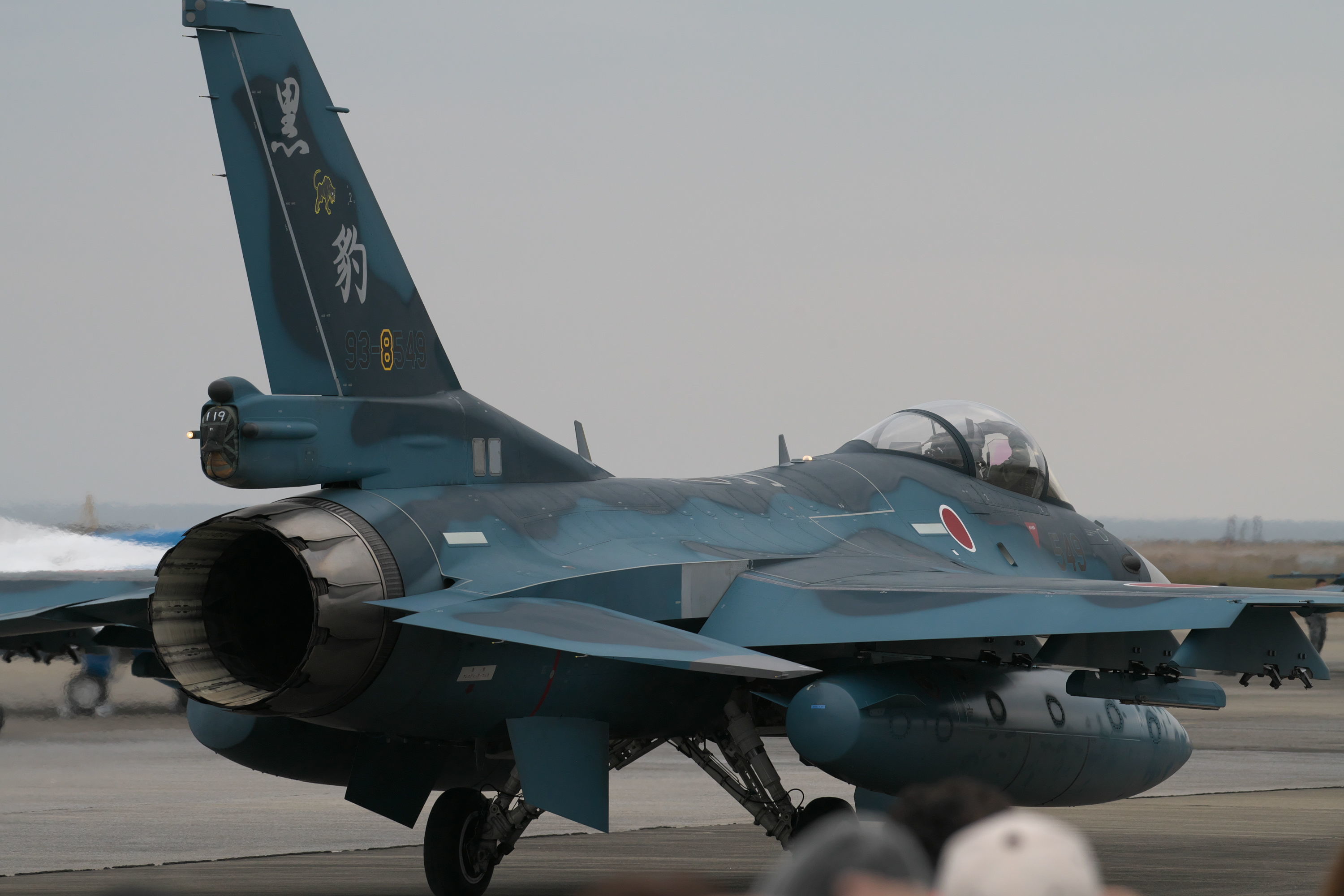 F-2 Viper Zero ハセガワ1/48 - ポン吉さんの趣味日誌