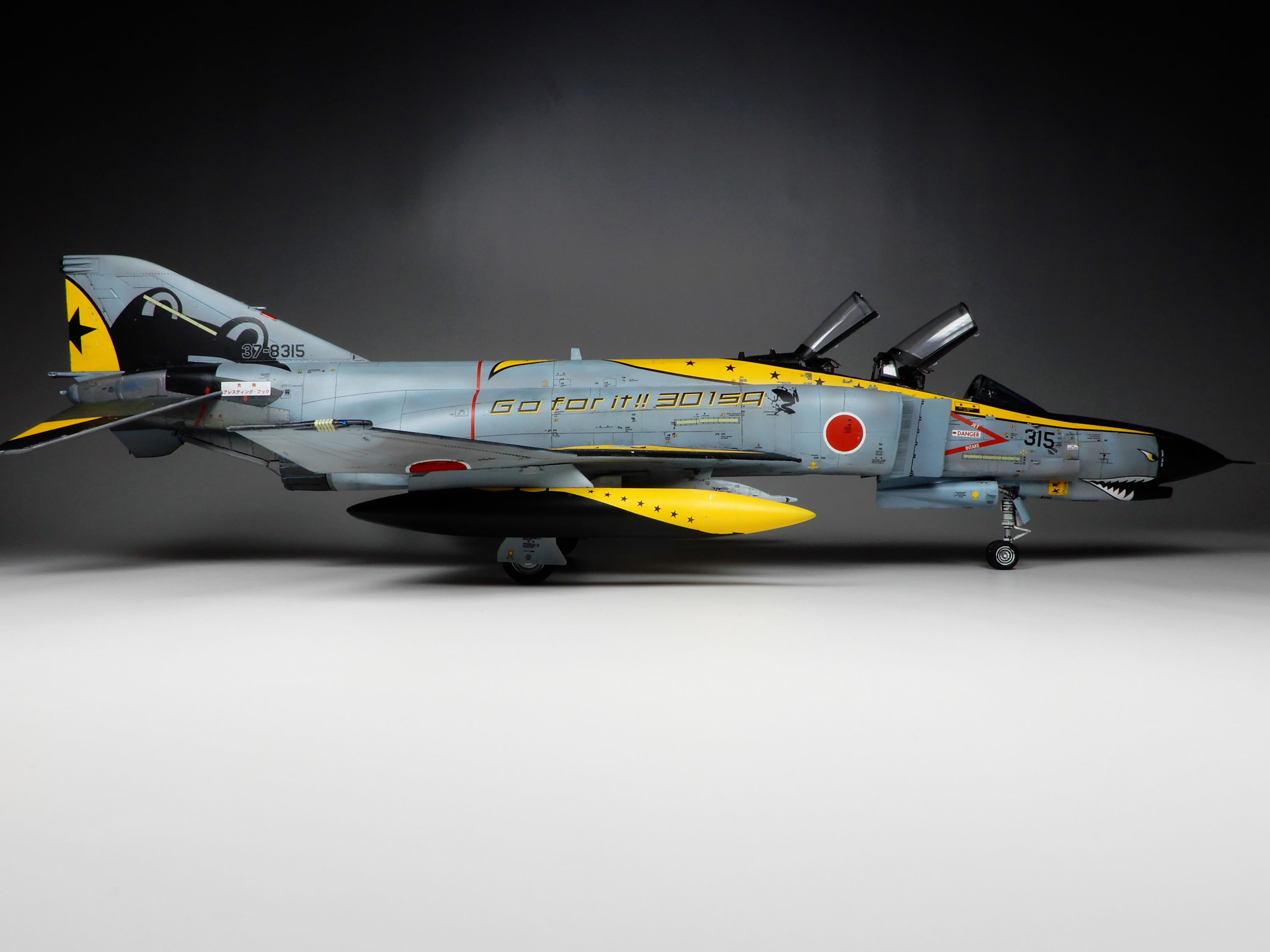 ブラックパンサー F-4EJ改 ファントムII 2008年ファイナルイヤー