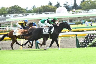 馬主になってみて分かったこと キノコの木 馬主になってみて分かったこと キノコの木