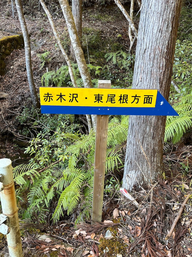 f:id:ponkiti48:20211231114749j:image f:id:ponkiti48:20211231114749j:image