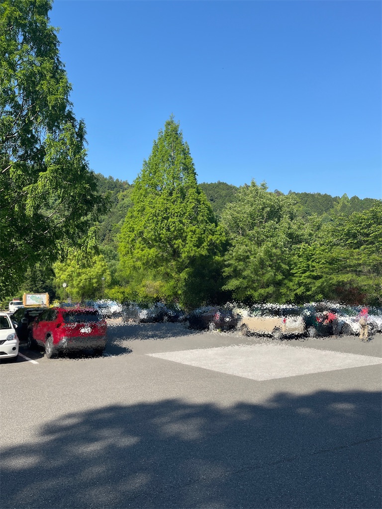 f:id:ponkiti48:20220621175156j:image f:id:ponkiti48:20220621175156j:image