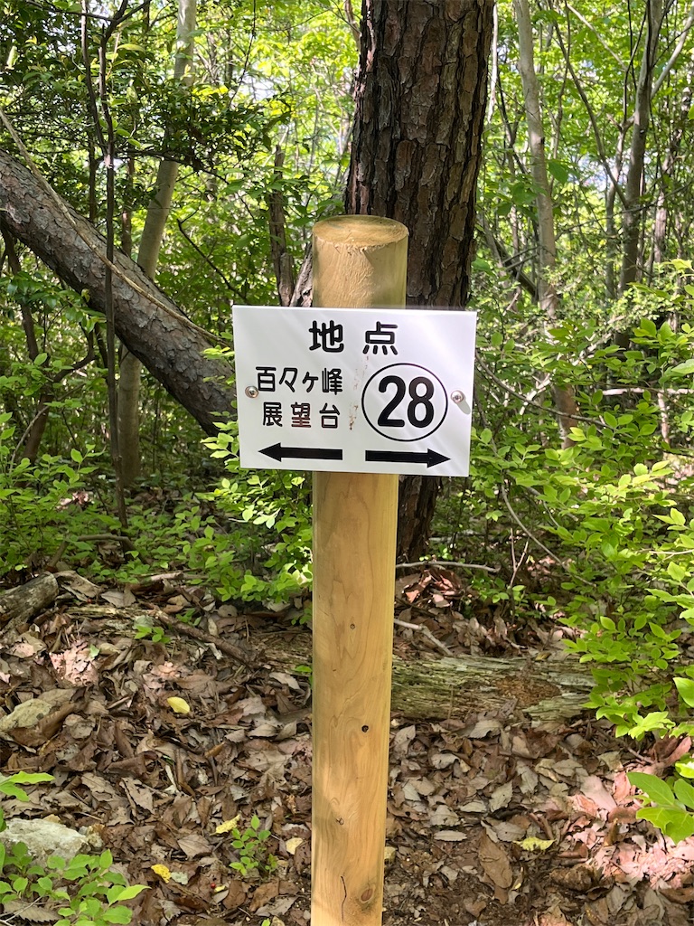 f:id:ponkiti48:20220621175800j:image f:id:ponkiti48:20220621175800j:image