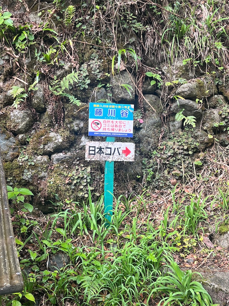 f:id:ponkiti48:20221110162413j:image f:id:ponkiti48:20221110162413j:image