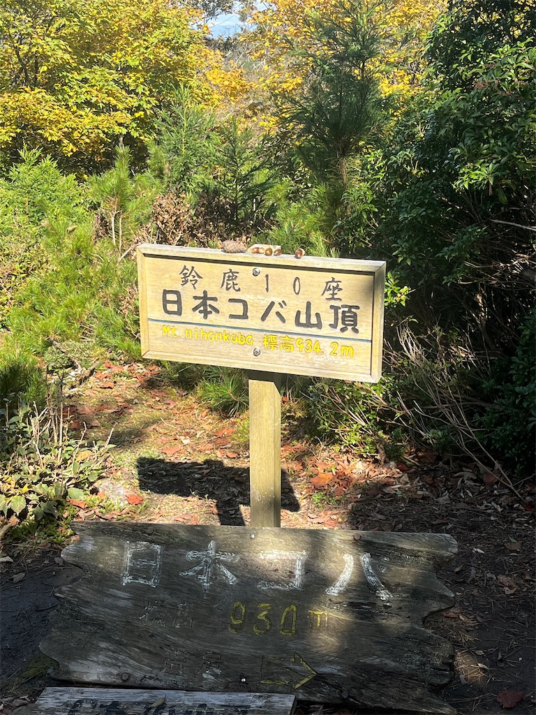 f:id:ponkiti48:20221111074204j:image f:id:ponkiti48:20221111074204j:image