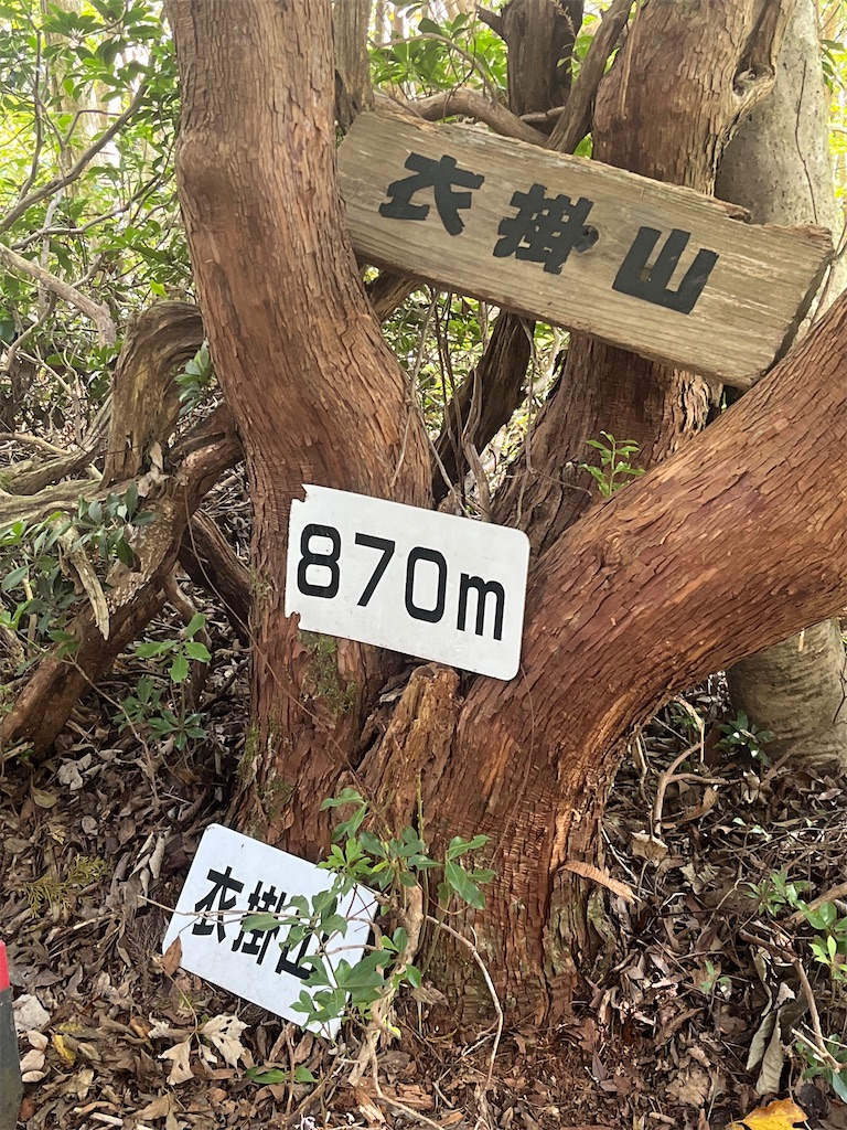 f:id:ponkiti48:20221111074352j:image f:id:ponkiti48:20221111074352j:image