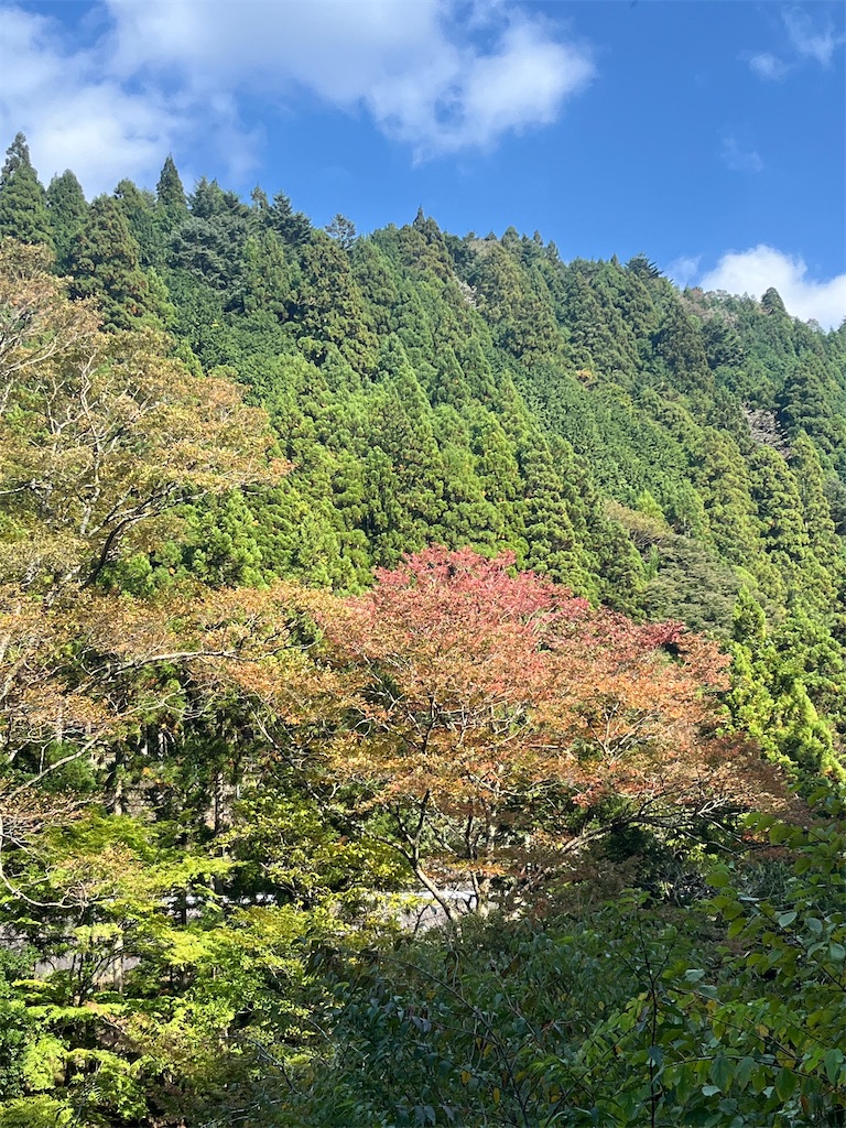 f:id:ponkiti48:20221111074448j:image f:id:ponkiti48:20221111074448j:image