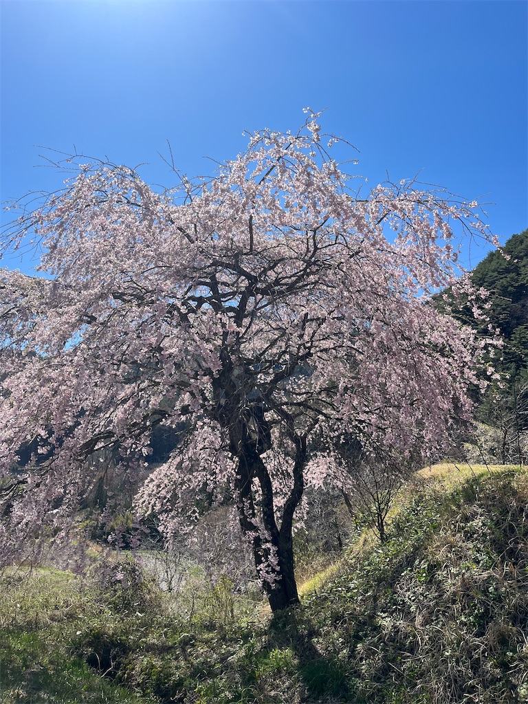 f:id:ponkiti48:20230503134638j:image f:id:ponkiti48:20230503134638j:image