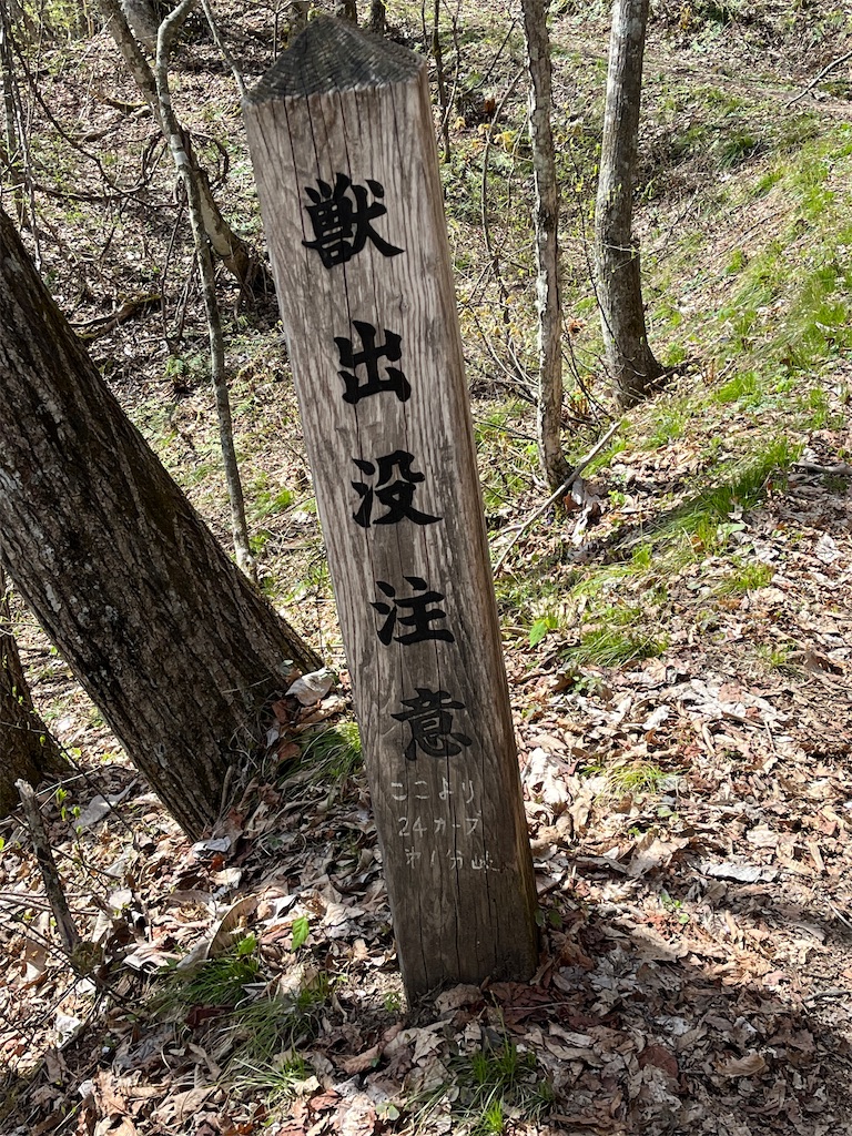 f:id:ponkiti48:20230504080117j:image f:id:ponkiti48:20230504080117j:image