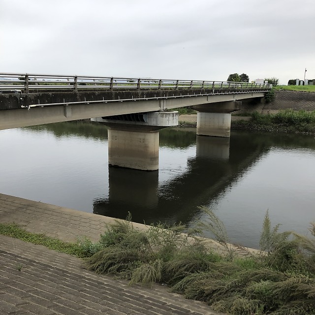 釣行記 21 09 26渡良瀬遊水地 渡良瀬川 何をやっても釣れない日 最後の最後に飛びついてきたあの魚とは バス釣り奇行 10 思い立ったらブログ書こう