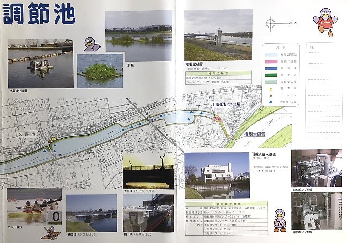 権現堂調節池パンフレット 右