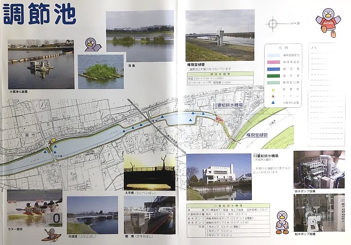 権現堂調節池パンフレット　右