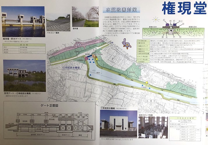 権現堂調節池パンフレット 左