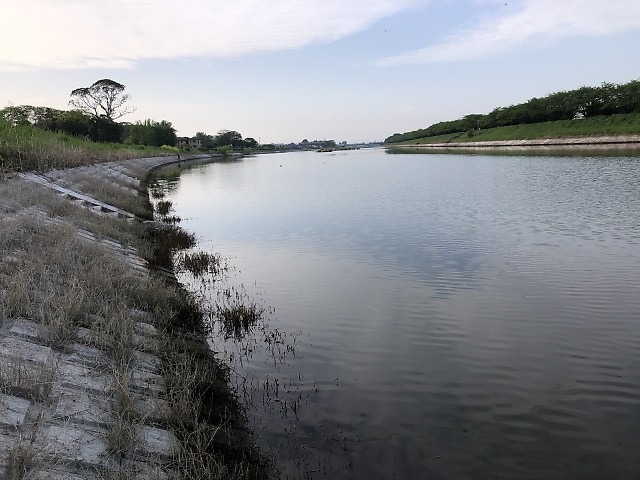 取水口　権現堂川