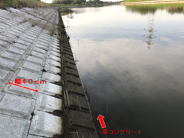 護岸のブロック数で深さが分かる（権現堂川）