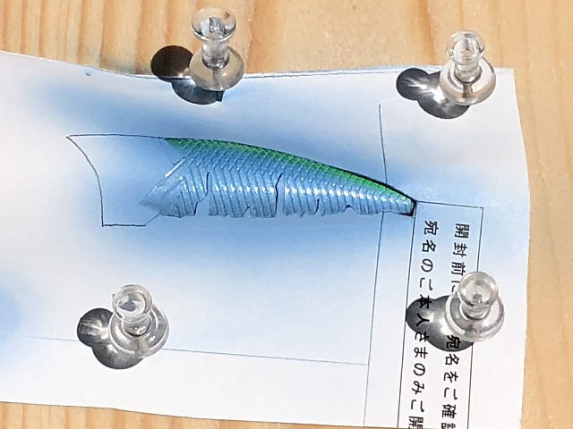 オイカワカラー　クリアブルーを吹く