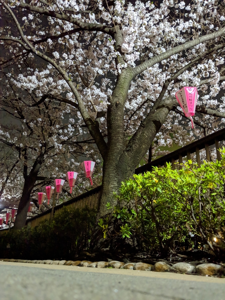 f:id:ponkotsu0605:20190407020300j:plain