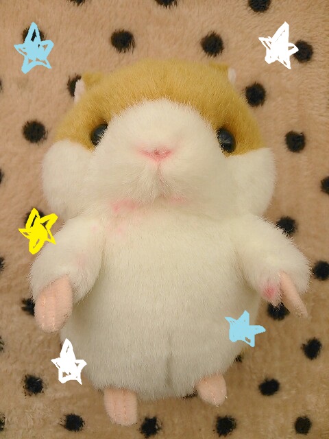 f:id:ponkotsu1215:20170104094711j:plain