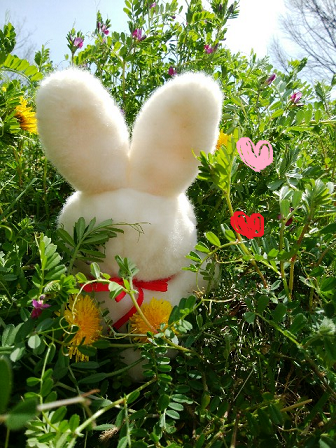 f:id:ponkotsu1215:20170412212111p:plain