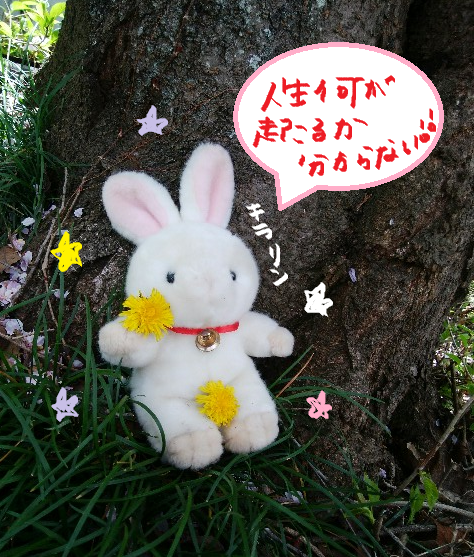 f:id:ponkotsu1215:20170413190531p:plain
