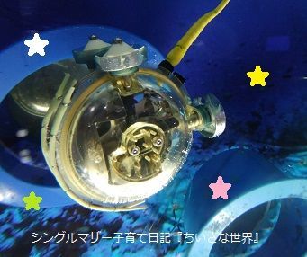 f:id:ponkotsu1215:20190430223158j:plain